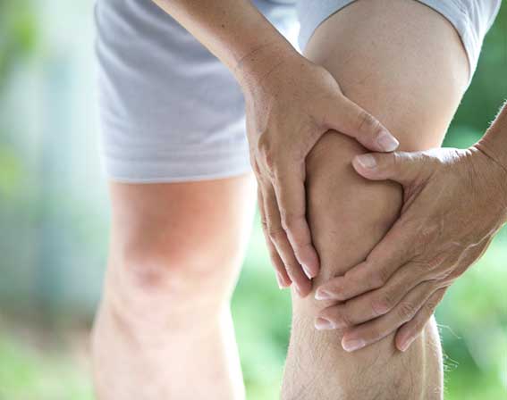 Muskel- & Knochen & Gelenke