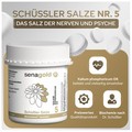 Schüssler Salz Nr. 5 Kalium phosphoricum D 6 (BIOCHEMIE Senagold ) Tabletten
