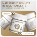 Schüssler Salz Nr. 10 Natrium sulfuricum D 6 (BIOCHEMIE Senagold) Tabletten