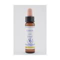 BACHBLÜTEN Larch Healing Herbs Tropfen