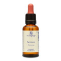 BACHBLÜTEN Agrimony Healing Herbs Tropfen
