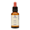 BACHBLÜTEN Aspen Healing Herbs Tropfen