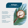 KOLLAGEN+ELASTIN+Hyaluron+Vitamin C Pulver