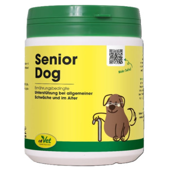 SENIOR Dog