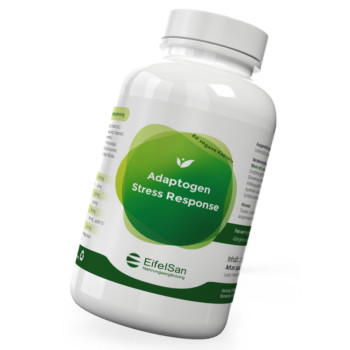 Adaptogen Stress Response 