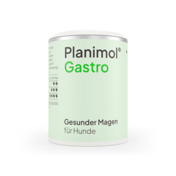 Planimol Gastro Tabletten