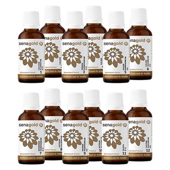 Schüssler Salze 12er Set Globuli Nr. 1- 12, 12x20 g