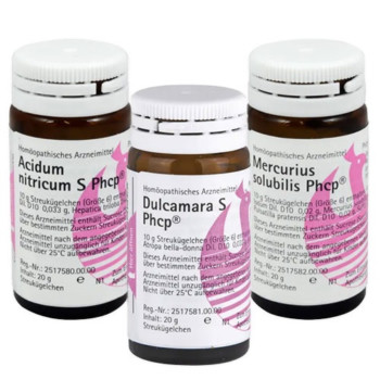 Phönix Aufbaukonzept