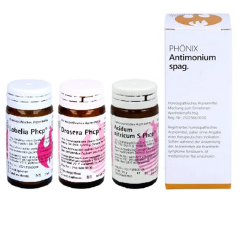 Phönix Atmungskonzept