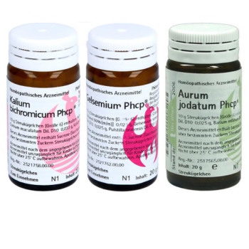 Phönix Wahrnehmungskonzept