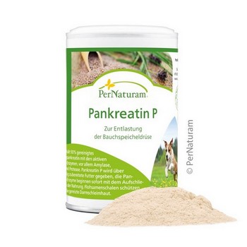 PerNaturam Pankreatin P