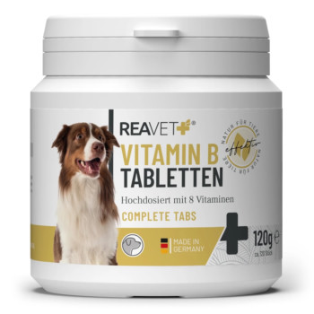 REAVET Vitamin B Tabletten