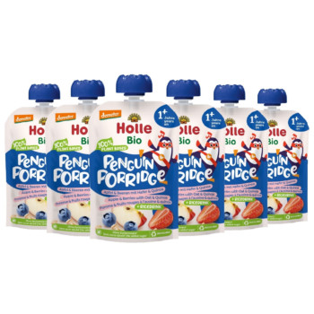 HOLLE Penguin Porridge Apfel & Beeren m.Haf.&Quin.